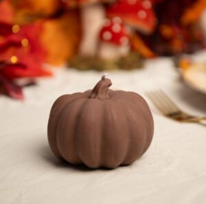 Velvet Pumpkin
